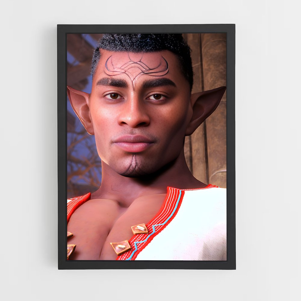 Poster Warden des Ombres – affiche Dragon age (vue 2)